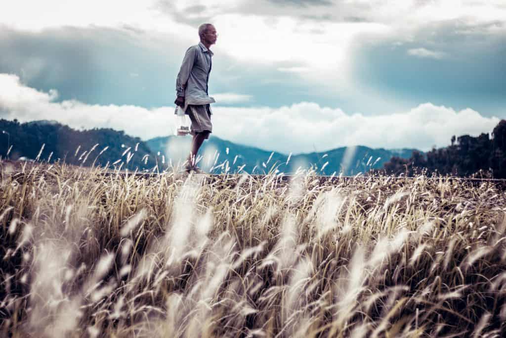 《真正的快樂處方》讀後心得:運動的好處遠比你知道的還多 5 《真正的快樂處方》運動的好處不只身體健康,還有這7個妙用