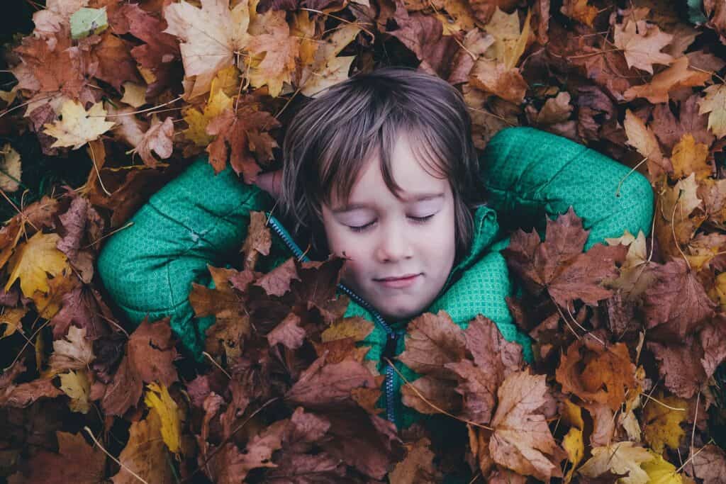 《隱性偏見》讀後心得:一本終結偏見的起始指南 3 closed eye boy laying on brown maple leaves