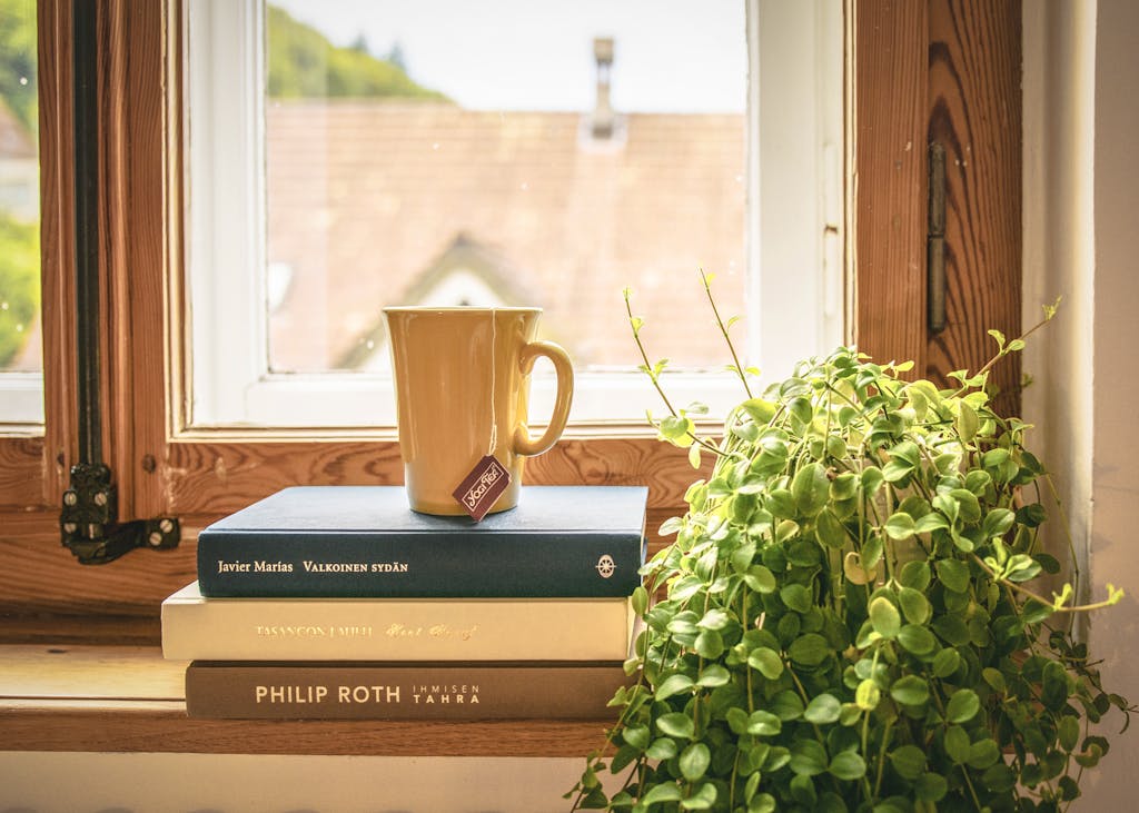 《請開始說你的故事》讀後心得:說好故事的五個方法 2 A warm scene featuring a mug and books by a sunny window, perfect for relaxation and reading.