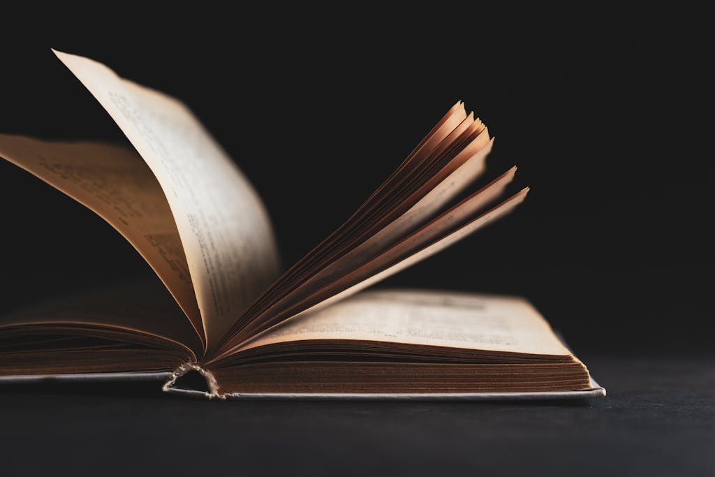 《文森說書》瓦基才試一週就放棄,同條路他卻走到百萬訂閱 4 《文森說書》瓦基才試一週就放棄,同條路他卻走到百萬訂閱 3